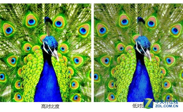 用数据说话 如何挑选一款优质微型投影